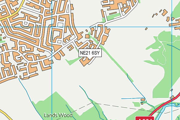 NE21 6SY map - OS VectorMap District (Ordnance Survey)