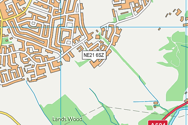 NE21 6SZ map - OS VectorMap District (Ordnance Survey)