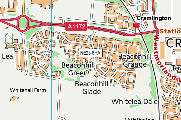 NE23 8HA map - OS VectorMap District (Ordnance Survey)