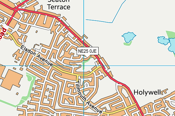 NE25 0JE map - OS VectorMap District (Ordnance Survey)