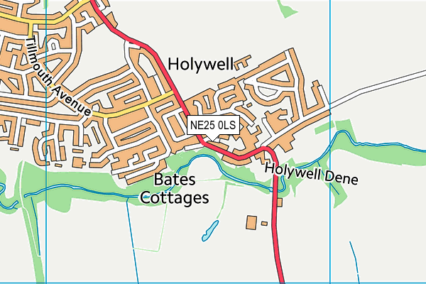 NE25 0LS map - OS VectorMap District (Ordnance Survey)