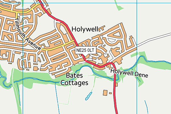 NE25 0LT map - OS VectorMap District (Ordnance Survey)