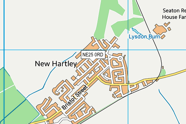 New Hartley First School map (NE25 0RD) - OS VectorMap District (Ordnance Survey)