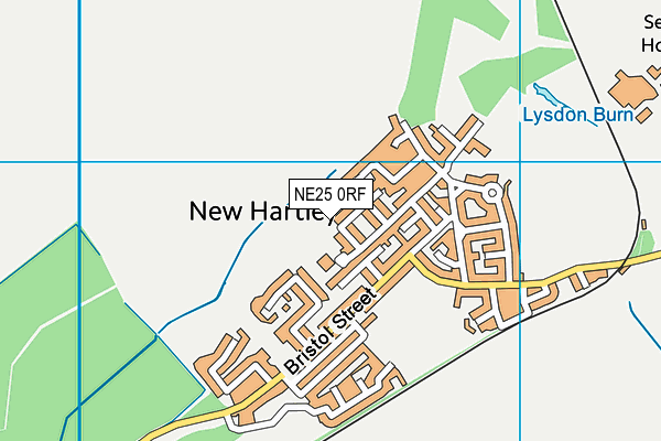 NE25 0RF map - OS VectorMap District (Ordnance Survey)