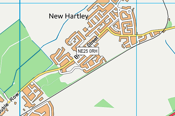 NE25 0RH map - OS VectorMap District (Ordnance Survey)