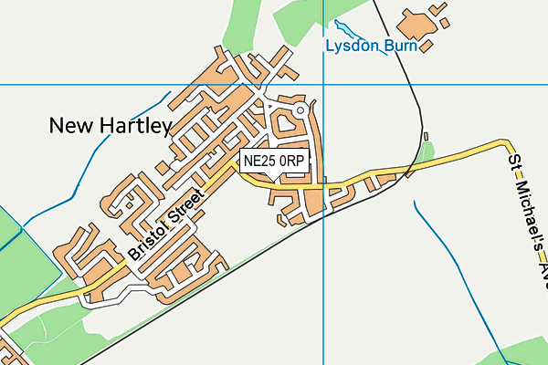 New Hartley Park map (NE25 0RP) - OS VectorMap District (Ordnance Survey)