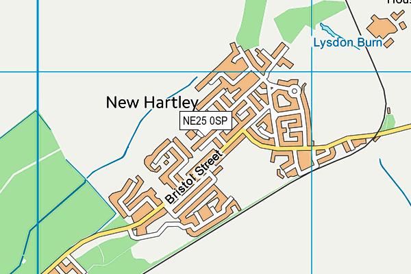 NE25 0SP map - OS VectorMap District (Ordnance Survey)