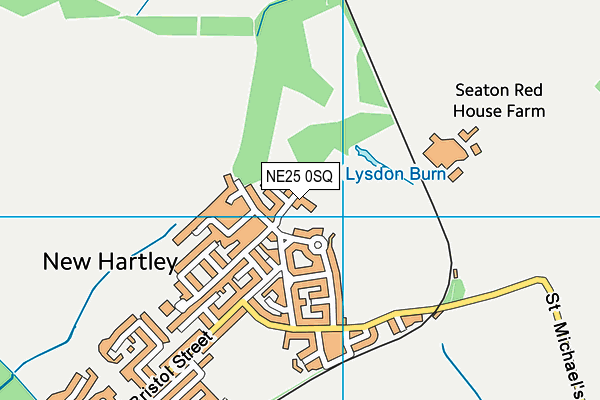 NE25 0SQ map - OS VectorMap District (Ordnance Survey)