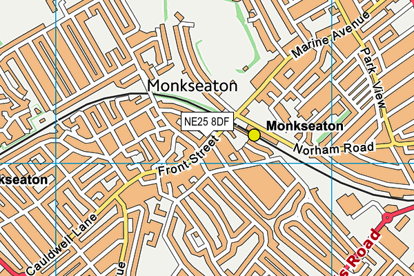 NE25 8DF map - OS VectorMap District (Ordnance Survey)