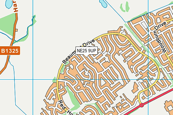 NE25 9UP map - OS VectorMap District (Ordnance Survey)
