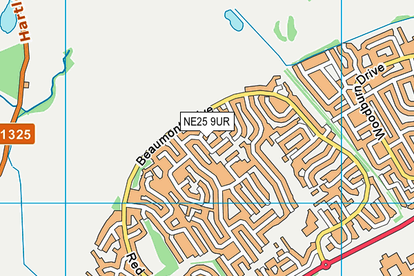 NE25 9UR map - OS VectorMap District (Ordnance Survey)