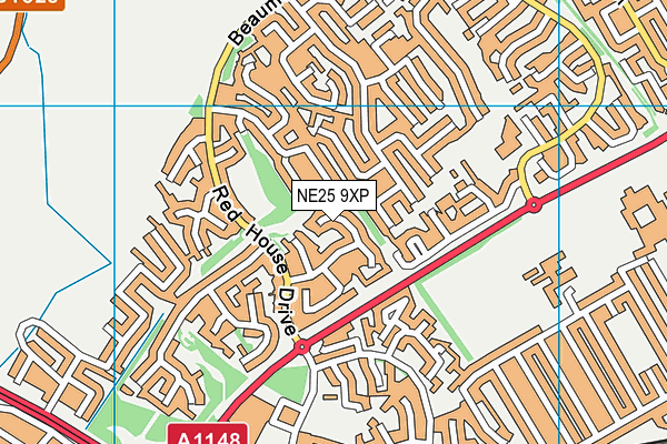 NE25 9XP map - OS VectorMap District (Ordnance Survey)