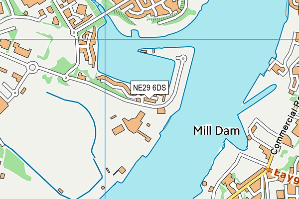 NE29 6DS map - OS VectorMap District (Ordnance Survey)