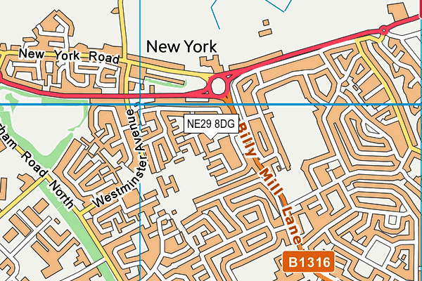 NE29 8DG map - OS VectorMap District (Ordnance Survey)
