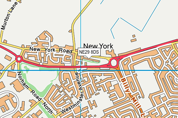 NE29 8DS map - OS VectorMap District (Ordnance Survey)