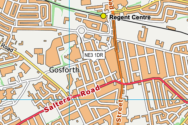 NE3 1DR map - OS VectorMap District (Ordnance Survey)