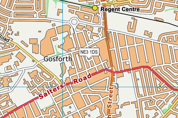 NE3 1DS map - OS VectorMap District (Ordnance Survey)