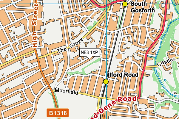 NE3 1XP map - OS VectorMap District (Ordnance Survey)