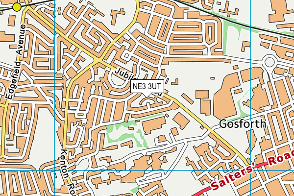 NE3 3UT map - OS VectorMap District (Ordnance Survey)