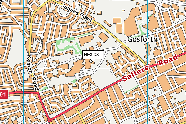 NE3 3XT map - OS VectorMap District (Ordnance Survey)