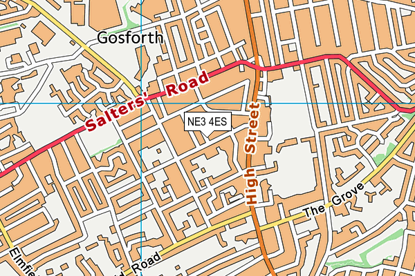 Newcastle School for Boys map (NE3 4ES) - OS VectorMap District (Ordnance Survey)