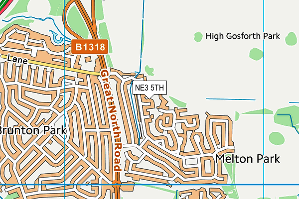 NE3 5TH map - OS VectorMap District (Ordnance Survey)