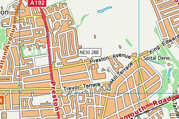 Kings Priory School (Preston Avenue Pitches) map (NE30 2BE) - OS VectorMap District (Ordnance Survey)
