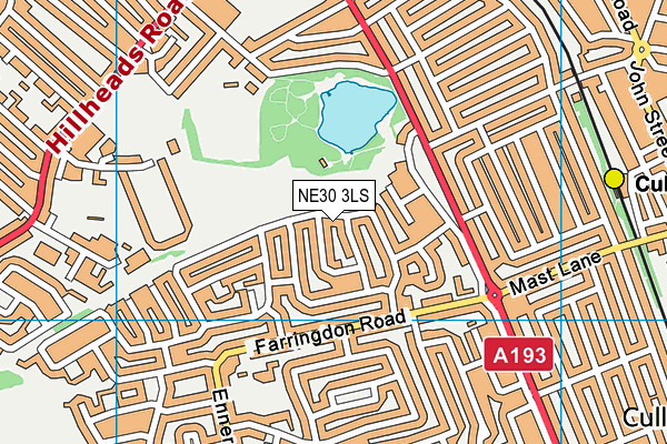 NE30 3LS map - OS VectorMap District (Ordnance Survey)
