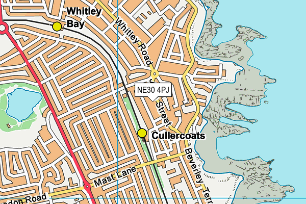 NE30 4PJ map - OS VectorMap District (Ordnance Survey)