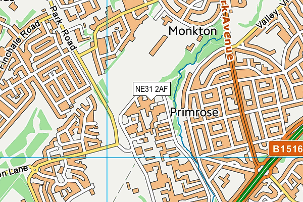 NE31 2AF map - OS VectorMap District (Ordnance Survey)