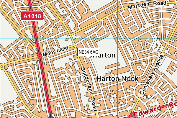 Harton Academy Sports Centre map (NE34 6AG) - OS VectorMap District (Ordnance Survey)