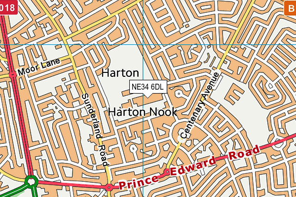 Harton Academy map (NE34 6DL) - OS VectorMap District (Ordnance Survey)