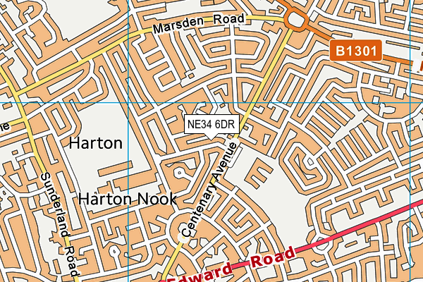 NE34 6DR map - OS VectorMap District (Ordnance Survey)