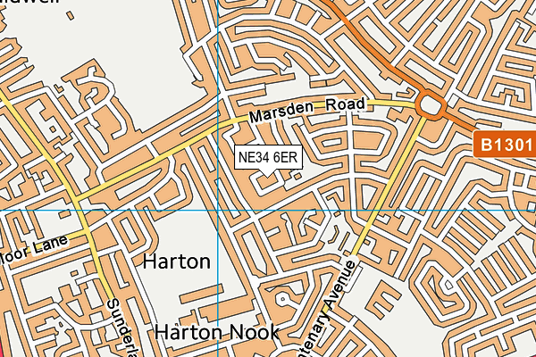 NE34 6ER map - OS VectorMap District (Ordnance Survey)