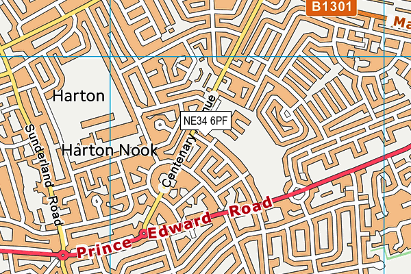 Harton Primary School map (NE34 6PF) - OS VectorMap District (Ordnance Survey)