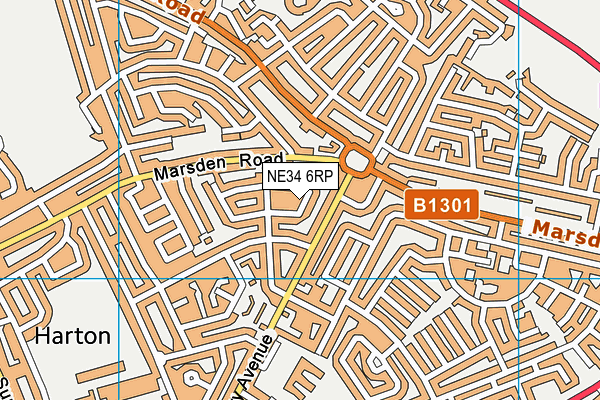 NE34 6RP map - OS VectorMap District (Ordnance Survey)