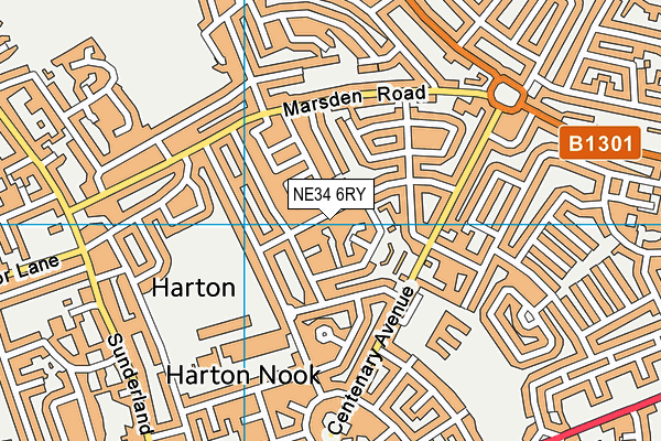 NE34 6RY map - OS VectorMap District (Ordnance Survey)