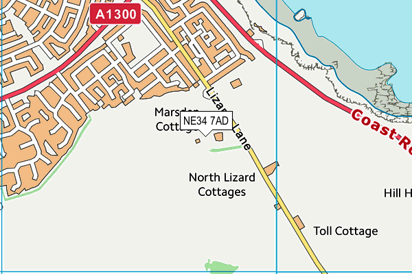 NE34 7AD map - OS VectorMap District (Ordnance Survey)