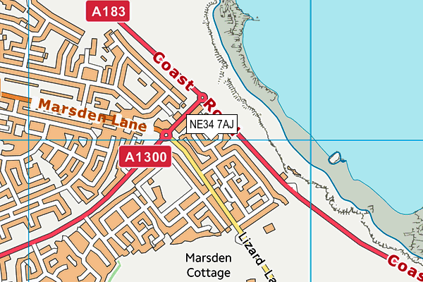 NE34 7AJ map - OS VectorMap District (Ordnance Survey)