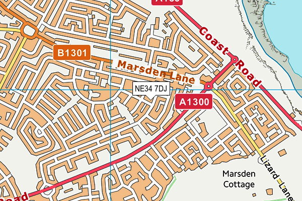 NE34 7DJ map - OS VectorMap District (Ordnance Survey)