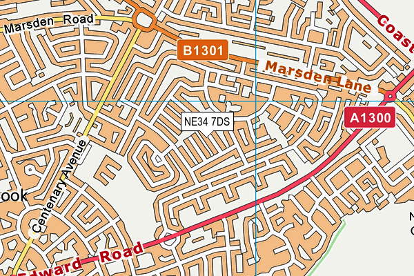 NE34 7DS map - OS VectorMap District (Ordnance Survey)