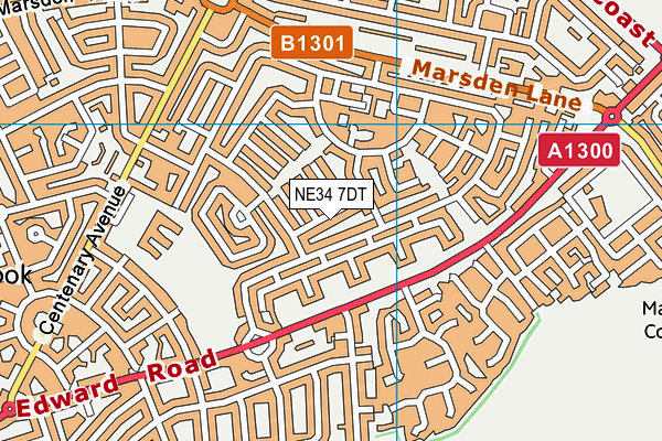 NE34 7DT map - OS VectorMap District (Ordnance Survey)