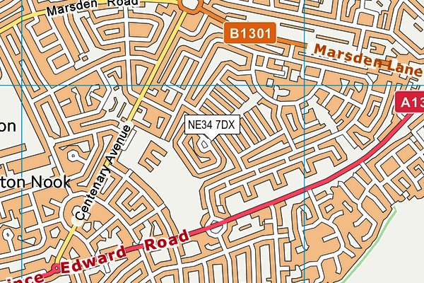NE34 7DX map - OS VectorMap District (Ordnance Survey)