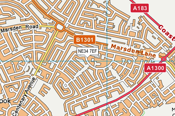 NE34 7EF map - OS VectorMap District (Ordnance Survey)