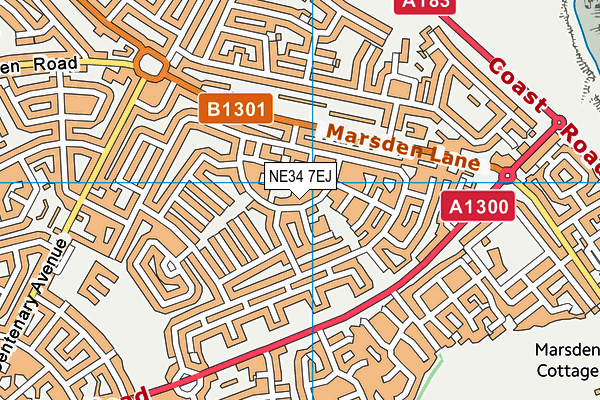 NE34 7EJ map - OS VectorMap District (Ordnance Survey)