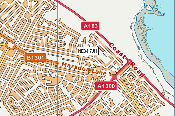 NE34 7JH map - OS VectorMap District (Ordnance Survey)