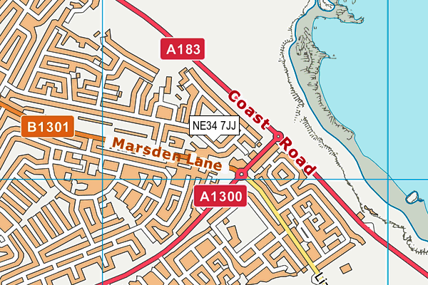 NE34 7JJ map - OS VectorMap District (Ordnance Survey)