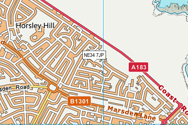 NE34 7JP map - OS VectorMap District (Ordnance Survey)