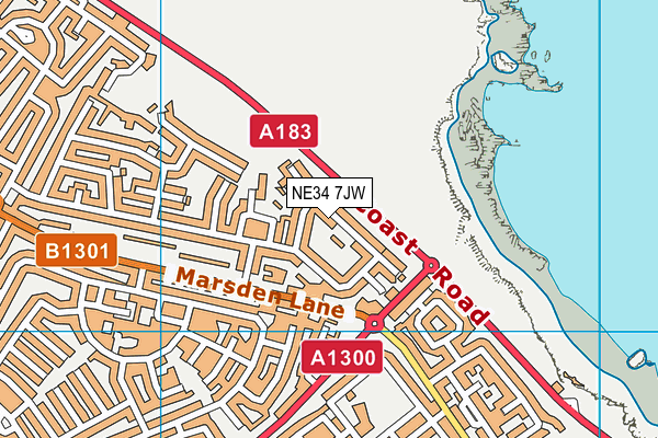 NE34 7JW map - OS VectorMap District (Ordnance Survey)