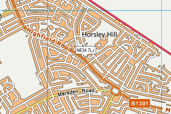 NE34 7LJ map - OS VectorMap District (Ordnance Survey)